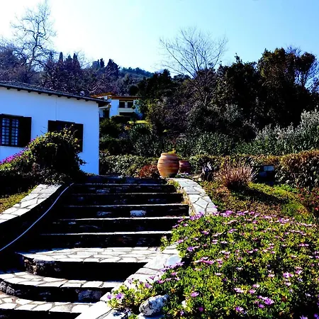 Electra House Chorefton